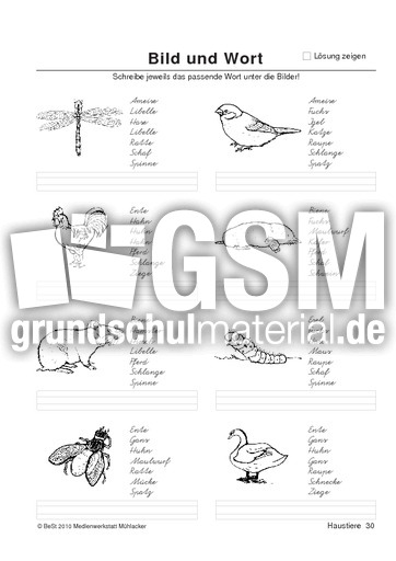 BuW Haustiere30.pdf
